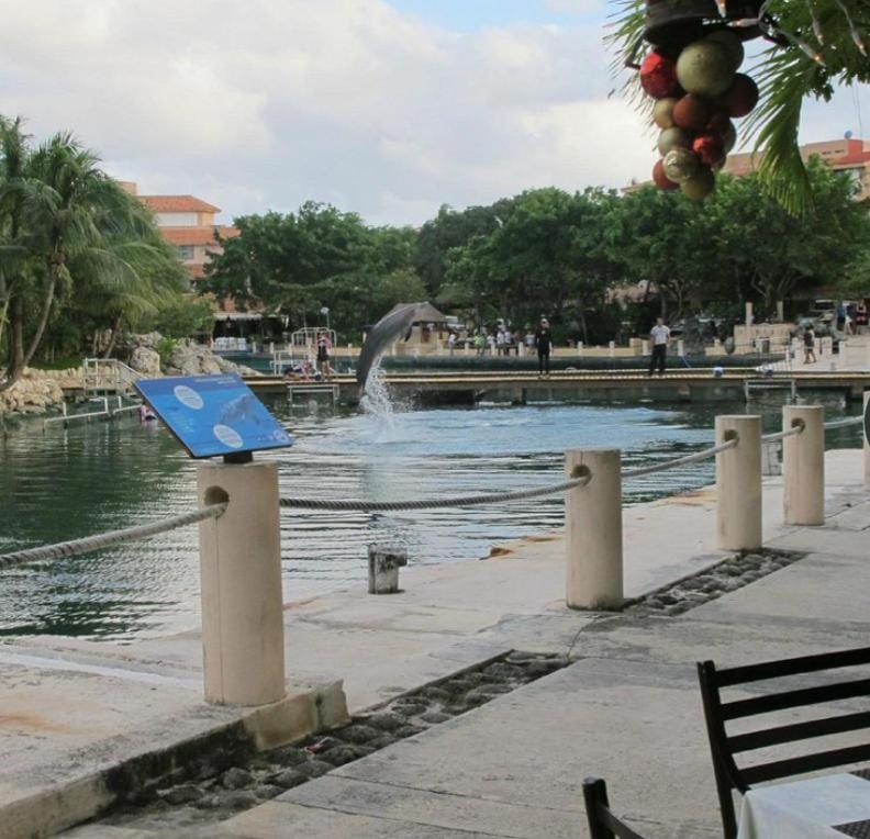 Appartement Puerto Aventuras, Departamento A Unos Pasos De La Playa Extérieur photo